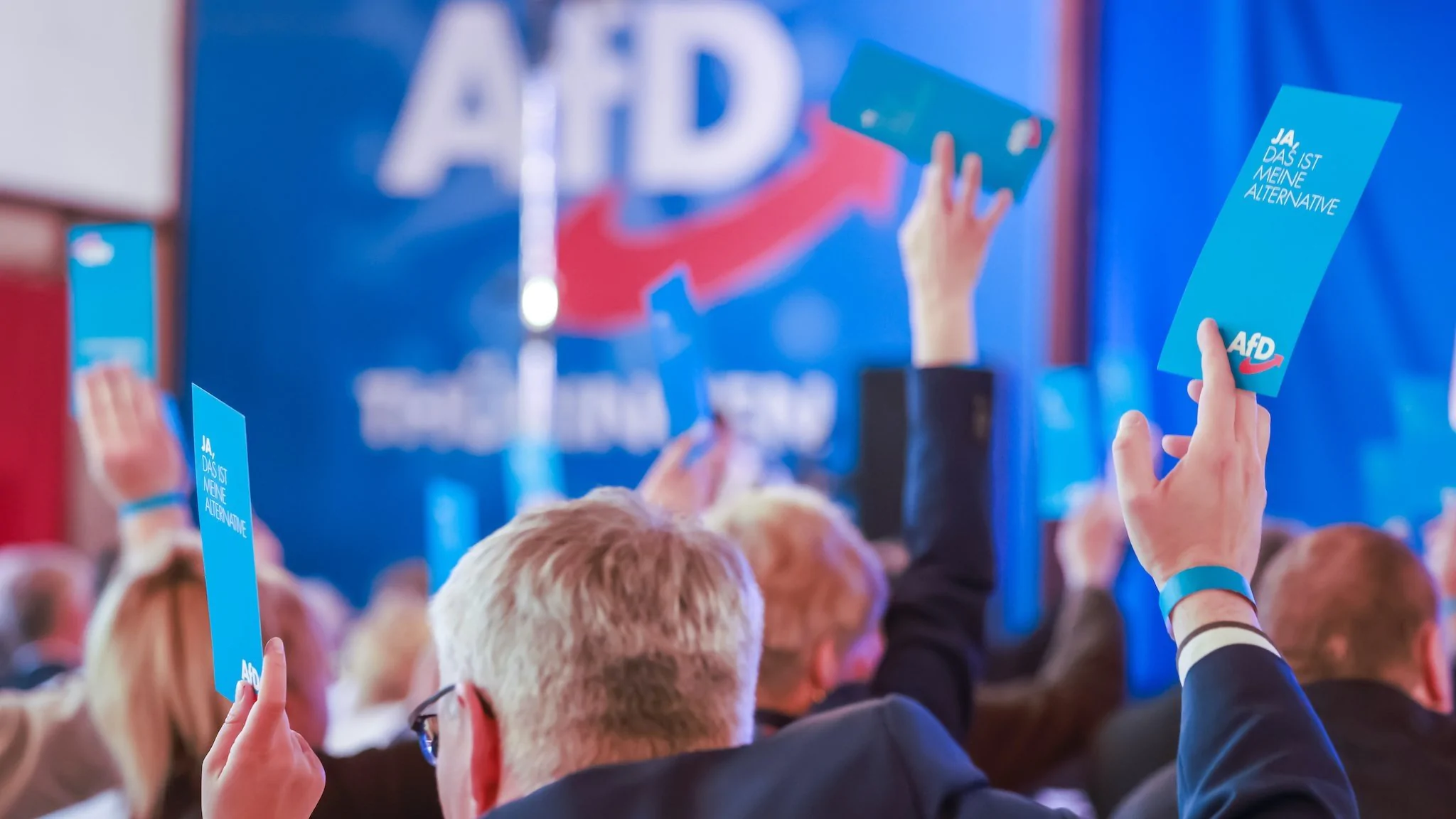 Niemiecka AfD Odnotowuje Rosnącą Liczbę Członków